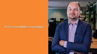 Wat is een billijke vergoeding [upl. by Inerney]