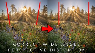 Correct WideAngle Perspective Distortion In Photoshop [upl. by Elberfeld]