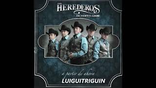 Los Herederos De Nuevo Leon Mix De Canciones Buenas [upl. by Ecirted]