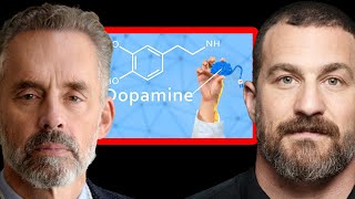 The Dopamine System and the Danger of Hope Jordan Peterson and Andrew Huberman [upl. by Gladis]