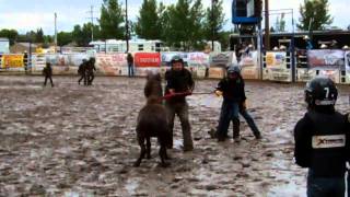 Wild Pony Races  Wainwright Stampede 2011 [upl. by Caswell954]