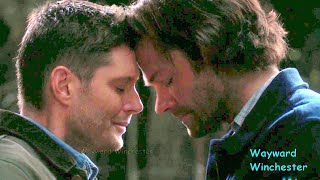 Supernatural Season 15 Supercut  Carry On [upl. by Nettle]