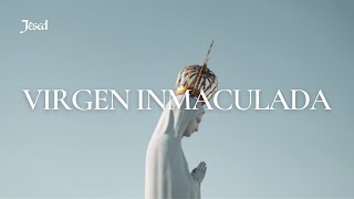 Virgen Imaculada Lyric Video [upl. by Ollehto]