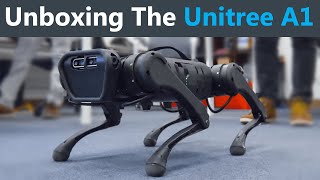 Unboxing a LowCost Robot Dog [upl. by Aerdnac]