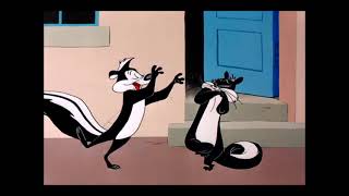 Penelope Pussycat amp Pepé Le Pew Wooing Compilation  Looney Tunes [upl. by Icken]