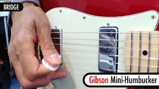 Gibson Firebird vs Gibson MiniHumbucker [upl. by Anawd575]