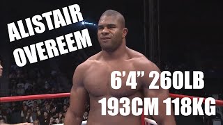 Alistair Overeem Highlights [upl. by Enitsej]