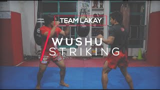 WUSHU  Basic Wushu Striking Techniques  Team Lakay Instructional [upl. by Springer881]