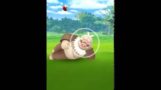 【Pokémon GO Excellent Throw】289 ケッキング Slaking [upl. by Ettedanreb822]