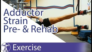 Copenhagen Adduction Exercise  Adductor Strain Pre and Rehab [upl. by Naujik295]