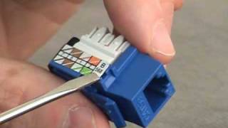 How to wire an RJ45 jack [upl. by Archle420]