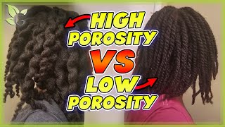 HIGH vs LOW POROSITY – What’s the difference  Pros and Cons [upl. by Monty325]