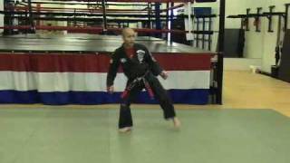 CASA DE KENPO  KICKING SET 1  2nd Edition [upl. by Kilian114]