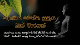 කරණීය මෙත්ත සූත්‍රය 21 වරක්  Karaneeya Meththa Suthraya  Seth Pirith  Pirith [upl. by Nilre]