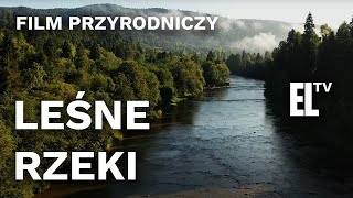 Leśne rzeki FILM PRZYRODNICZY [upl. by Namdor863]