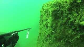 Spearfishing Grand Haven Pier on Lake Michigan [upl. by Camm]