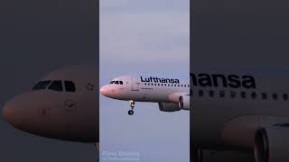 Airbus A320 landing at Frankfurt Airport planespotting frankfurtairport a320 lufthansa [upl. by Windy]