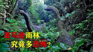 亚马逊雨林究竟多危险？它为什么被称人类禁区？里面有什么生物吗 [upl. by Partan]