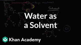 Water as a solvent  Water acids and bases  Biology  Khan Academy [upl. by Otrevlig896]