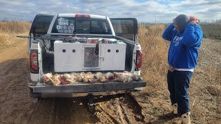 Pt2 Brought My Cousin Rabbit Hunting  Been Over 25 years  Family Tradition [upl. by Cohleen]