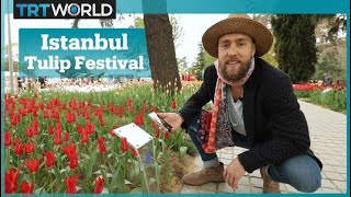 Istanbuls International Tulip Festival [upl. by Sarajane763]