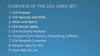 CEA Overview [upl. by Caffrey787]