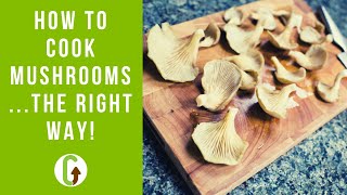 How To Cook Mushrooms The Right Way  GroCycle [upl. by Abehs]