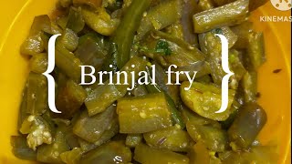 Brinjal fry in Telugu  easy and tasty Brinjal fry Podugu Vankaya fry recipe [upl. by Nester]