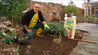 Stauden richtig pflanzen und schneiden  Gartentipps mit Nils Grage [upl. by Grof568]