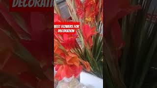 BEST GLADIUS FLOWERS FOR CAR DECORATION WEDDING [upl. by Tiphanie]