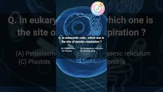 Site of aerobic respiration in  eukaryotic cells shorts youtubeshorts shortsfeed shortvideo [upl. by Stefania]