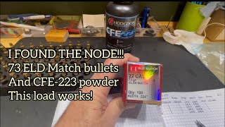 Recommended best loads73 grain ELD match bullets CFE223 powder and Loads from 243 to 245 grains [upl. by Ijuy]