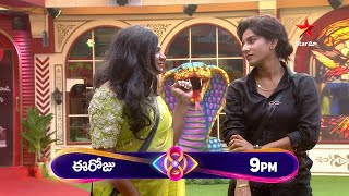 Bigg Boss Telugu 8  Day 70  Promo 1  Unforgettable Hilarious Moments 🤣 Nagarjuna  Star Maa [upl. by Nocaed710]