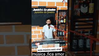 Juninho do piseiroforroepiseiropraparedao música pra tocar no paredão médios graves [upl. by Aerdnael]