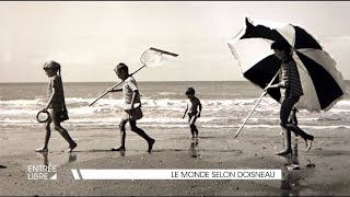 Le monde selon Doisneau [upl. by Silas37]