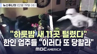 풀영상 “한인 밀집 지역 11곳 털려”…”새벽 마다 한인 업주들 공포”  MBC AMERICA 2025년 2월 19일 [upl. by Medor]