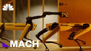 Boston Dynamics 4Legged Robot Spot Could Be Coming To An Office Near You  Mach  NBC News [upl. by Valentia95]