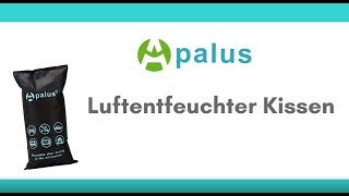 Apalus  Luftentfeuchter Auto Wiederverwendbar [upl. by Anesusa]