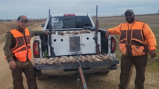 His First Time Ever Limited Out Rabbit Hunting with Byers Kennel  Three Man Limit [upl. by Ahsirk]