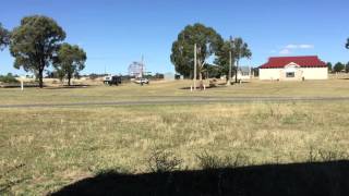 Harden Murrumburrah Showground  Murrumburrah NSW [upl. by Seline]