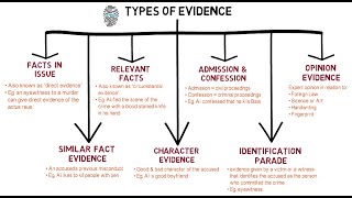 Evidence  Chapter 1 Types of Evidence CLP [upl. by Charlotta]