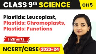 Plastids Leucoplast Plastids Chromoplasts Plastids Functions  Class 9 Biology Chapter 5 [upl. by Krigsman898]