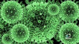 The H1N1 Swine Flu A Look Inside [upl. by Oiled]