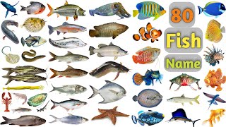 Fish Vocabulary ll 80 Fishes Name In English With Pictures ll Sea Fishes and Pond Fishes [upl. by Cherry49]