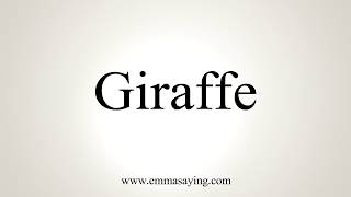 How To Pronounce Giraffe [upl. by Zales]