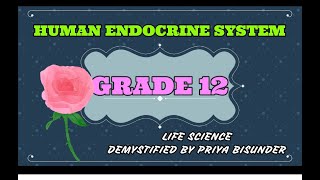 HUMAN ENDOCRINE SYSTEM GRADE 12 [upl. by Resor]