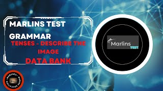 Marlins test Grammar Tenses describe the image For SEAFARERS [upl. by Silisav]