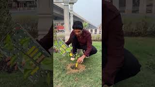 Planting 1 Lakh Trees 🌳 shortsfeed socialwork treeplanting [upl. by Butterworth]