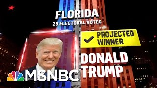 Trump Wins Florida NBC News Projects  MSNBC [upl. by Jacquet970]