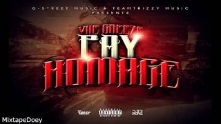 Vile Greeze – Pay Homage  Full Mixtape   Download Link [upl. by Zoldi713]